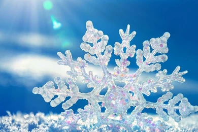 Snow iPad Wallpapers Download