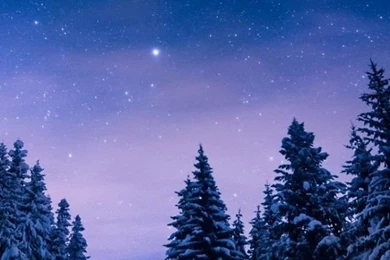 640x1136 Stars Night Snow Forest House Iphone 5 Wallpapers