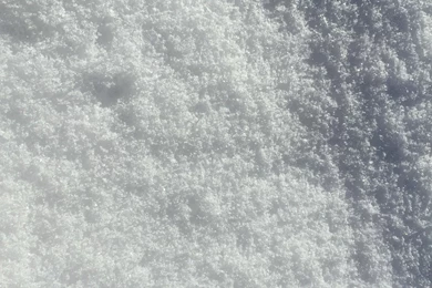 Snow wallpaper 3.jpg