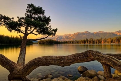 Free Laptop S Wallpapers