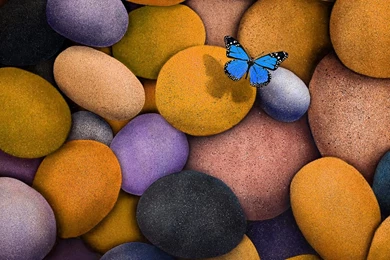 Laptop Wallpapers Free Download_hd Wallpaper_download Free Wallpapers