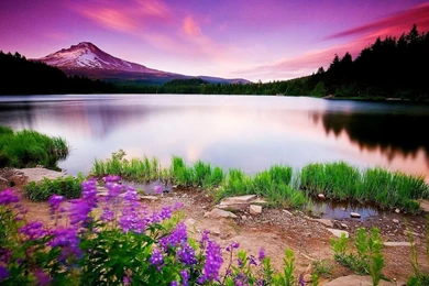 Full Hd Nature Wallpapers