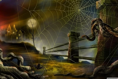 Spider Web Hallowmas Halloween HD Desktop Wallpapers : Widescreen ...