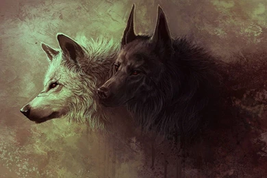 Black And White Wolves Wallpapers   Artistic Wallpapers