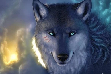 THE WOLF WALLPAPER   (