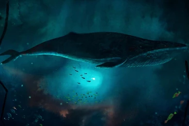 Song Of The Sea Computer Wallpapers, Desktop Backgrounds ...