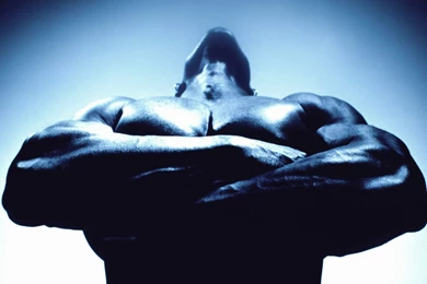 Male Celebrities: Maximum Muscle, Picture Nr. 18548