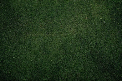 Green Grass Backgrounds Wallpapers 35060 1920x Jpg 174017