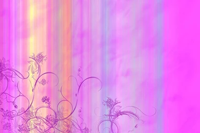 Pink Wallpapers_hd Wallpaper_download Free Wallpapers