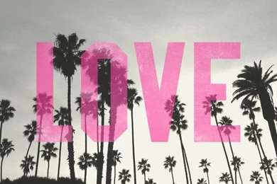 Pink Wallpapers 62b   Wallpapers Six