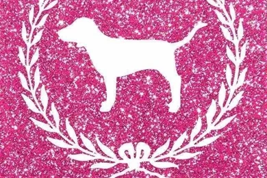 Pink_wallpaper_for_iphone1.jpg