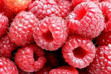 Pictures Of Food   HD Wallpapers Lovely