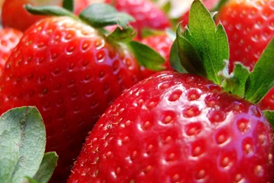 Download Strawberry Wallpapers – Food Wallpapers – Free Wallpapers ...