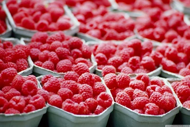 Raspberries   Food Wallpapers Full HD [2560x1600]   Free Wallpapers ...