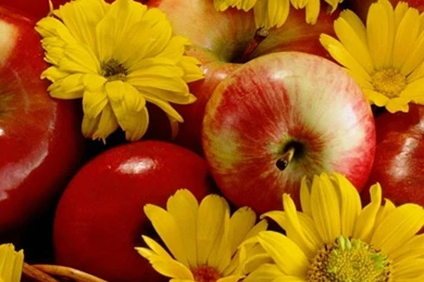 1080x1920 Apple Flowers Food Wallpapers HD