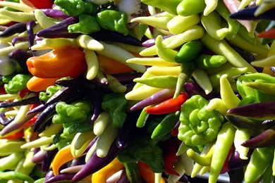 Top Food Tagged With Images For Pinterest