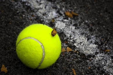 Best top desktop tennis wallpapers hd tennis wallpaper sport ...