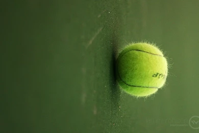 Tennis Ball Wallpapers