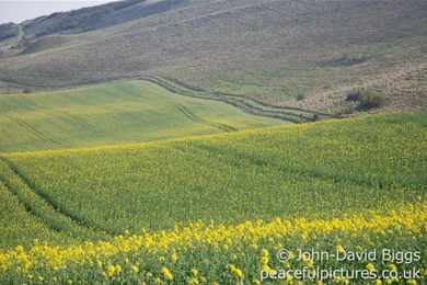 Top Peaceful Wallpapers Background Images For Pinterest