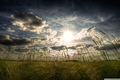 Peaceful Summer Day HD Desktop Wallpapers : Fullscreen : Dual Monitor