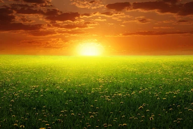 Sun Nature Peace Wallpapers