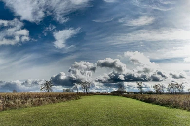 Stairs Wallpapers 1366x768   (