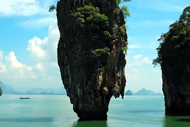 Download Grassy 2560x1024 Wallpapers 2560x1024