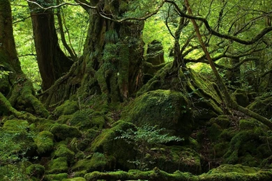 Earth Computer Wallpapers, Desktop Backgrounds