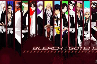 Bleach Wallpaper_hd Wallpaper_download Free Wallpapers