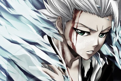 Download Wallpapers 1920x1080 Bleach, Anime, Hitsugaya Tousiro, Ice ...