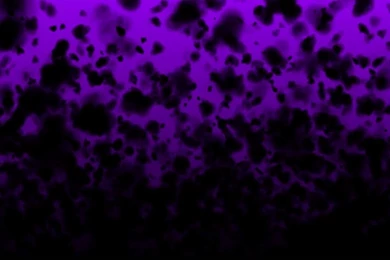 Dark Purple & Black HD Backgrounds Loop Free Motion Backgrounds ...