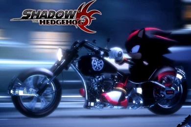 Shadow The Hedgehog...i Love It   Shadow The Hedgehog Wallpapers ...