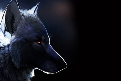 Lone Wolf Wallpapers