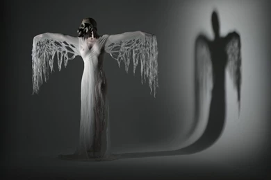 Angels_and_Vampires_by_koukei 271292.jpeg