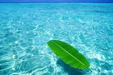 Blue Ocean HD Wallpapers