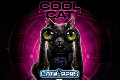 Cool Cat   Cats & Dogs: The Revenge Of Kitty Galore Wallpapers 10 ...
