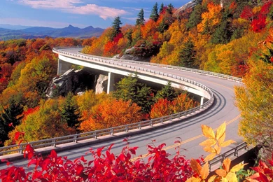 Computer Nature Wallpapers Desktop Backgrounds