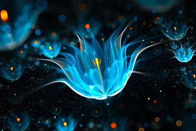 Neon Heart Black Backgrounds Wallpapers HD Free Download