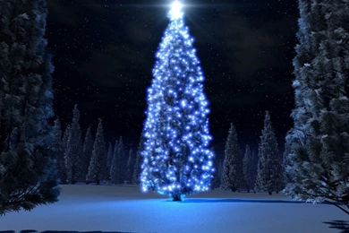 Free Magnificent Christmas Tree Computer Desktop Wallpapers