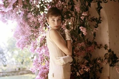 Audrey Portrait   Audrey Hepburn Wallpapers (5315355)   Fanpop