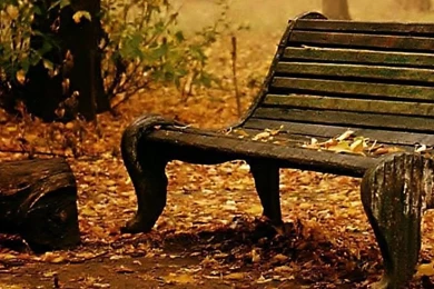 Old Bench, 720x1280 Pixels Wallpapers   Free & High Quality ...
