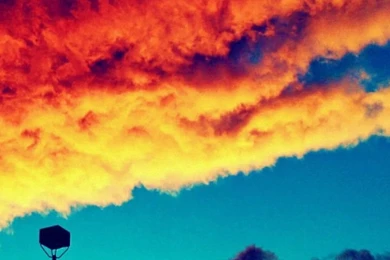 Beautiful Flower Samsung Galaxy A5 Wallpapers HD 720x1280