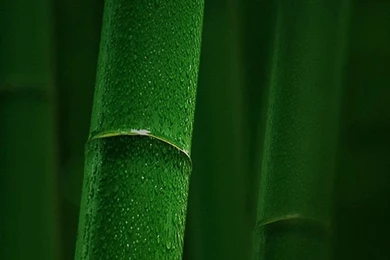 HD 720x1280 Wallpapers