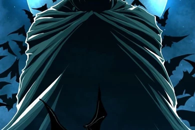 The Dark Knight Rises Galaxy S3 Wallpapers (720x1280)