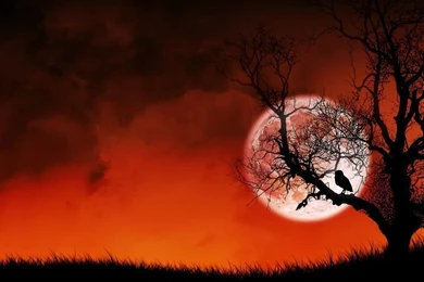 Free Wallpapers Desktop_hd Wallpaper_download Free Wallpapers