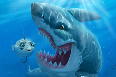 158 Shark HD Wallpapers