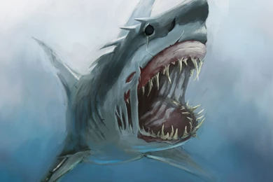 Pics, Facts, Funny Stuff About Animals & Nature Shark Attack ...