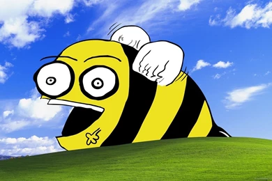 Download 1600x900 Insane Bee Wallpapers