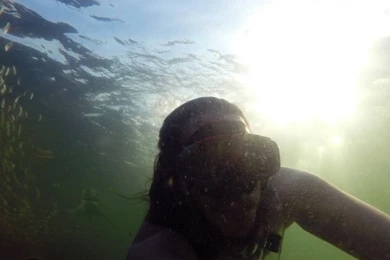 Selfie Taken with a Shark in the background 750x562.jpg