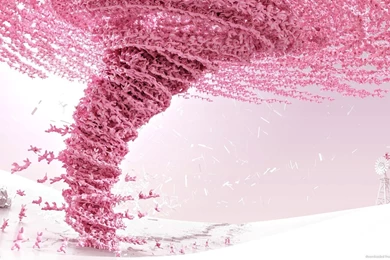 Download 1600x900 Insane Duracell Bunnies Tornado Wallpapers